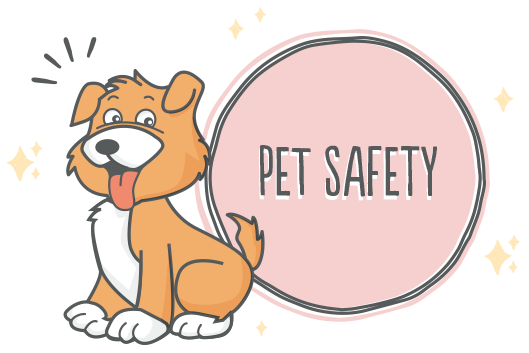 Dog Safety at Happy Tails